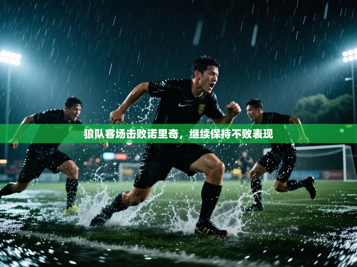 狼队客场击败诺里奇，继续保持不败表现