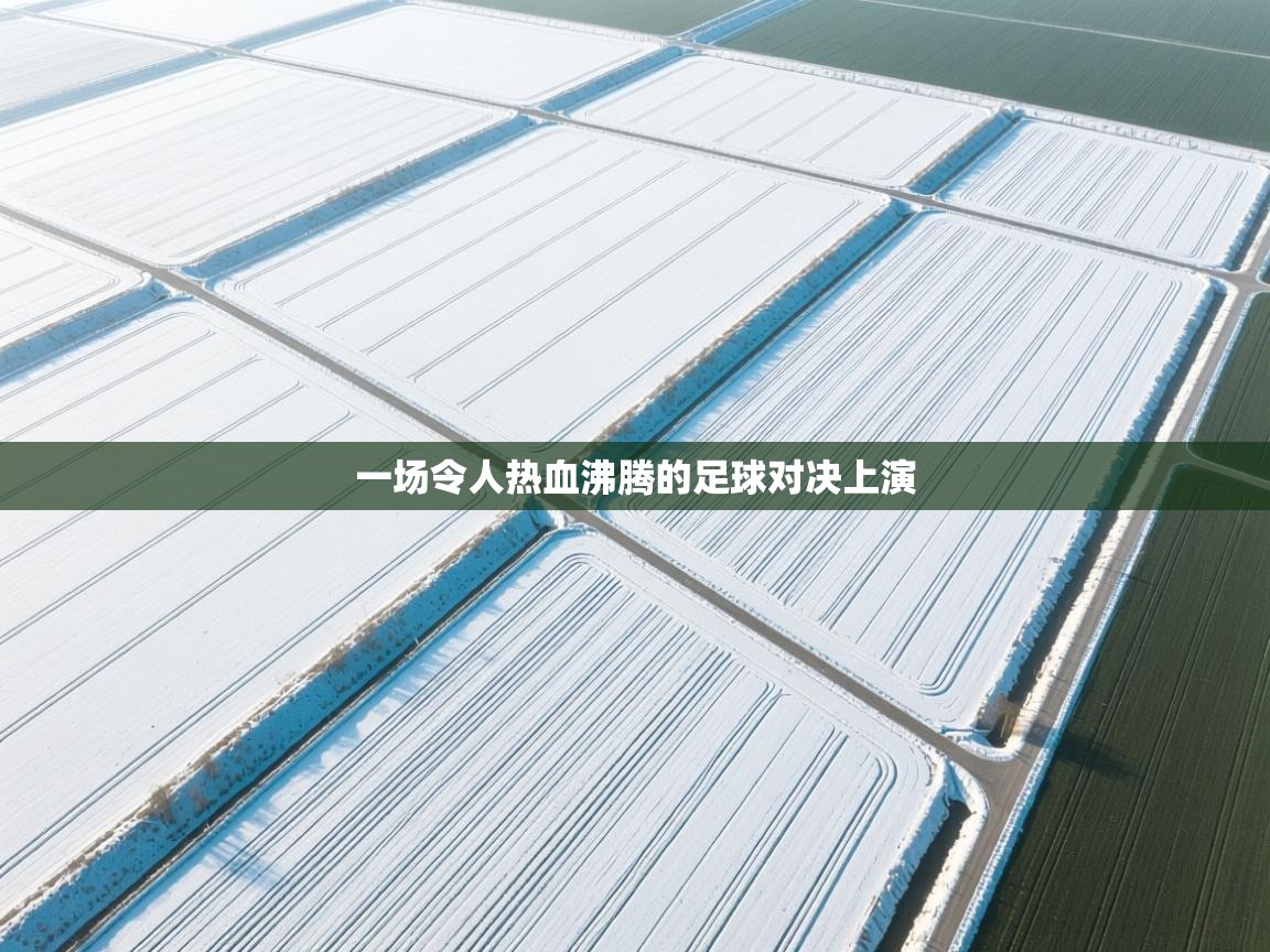 一场令人热血沸腾的足球对决上演  第2张