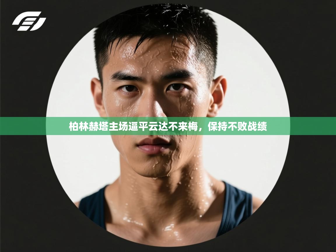 柏林赫塔主场逼平云达不来梅,保持不败战绩 第2张